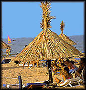 taiti